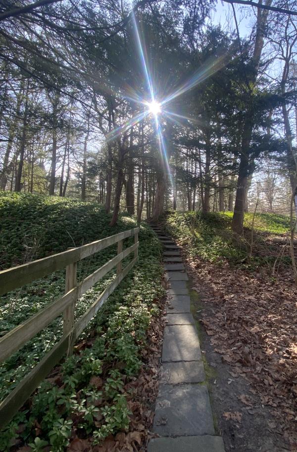 /Images/uploads/Harrybrooke Park/harrybrooke-park/entries/33771.jpg
